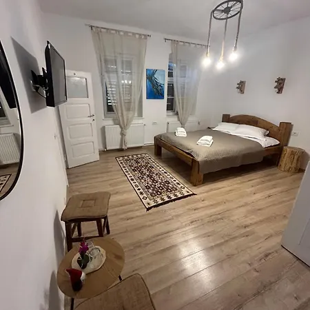 Pensiunea Belleview Guest house