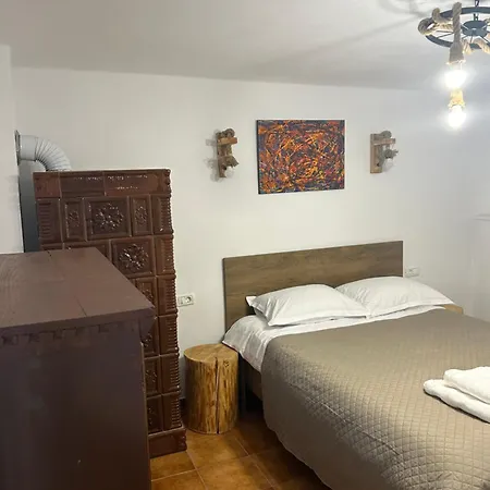 Guest house Pensiunea Belleview *