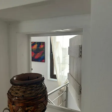 Guest house Pensiunea Belleview