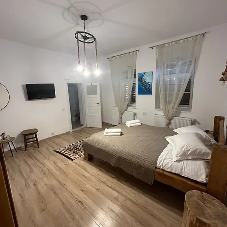 Pensiunea Belleview Guest house *