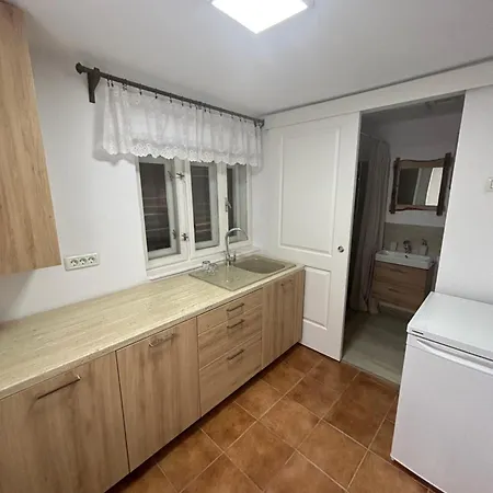 Pensiunea Belleview Guest house *