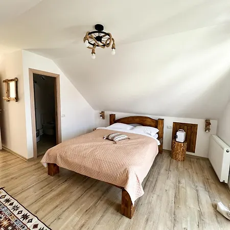 Guest house Pensiunea Belleview *