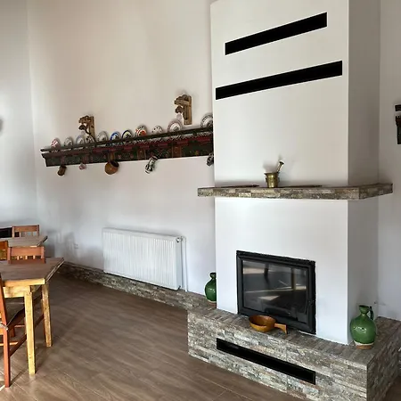 Guest house Pensiunea Belleview