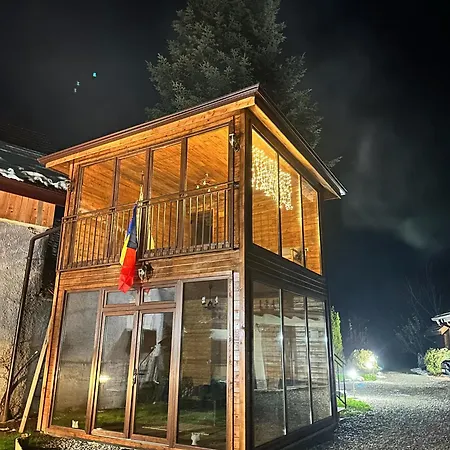 Guest house Pensiunea Belleview