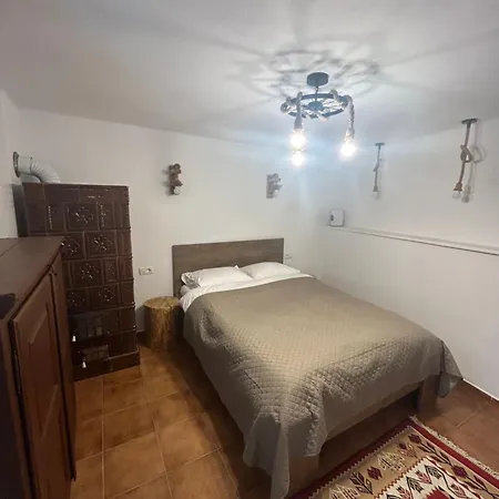 Pensiunea Belleview *